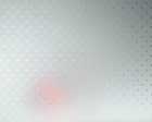 ����� ���. ���� �������