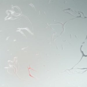 Сатин рис. Тюльпаны Серебро Сатин рис. Тюльпаны Серебро